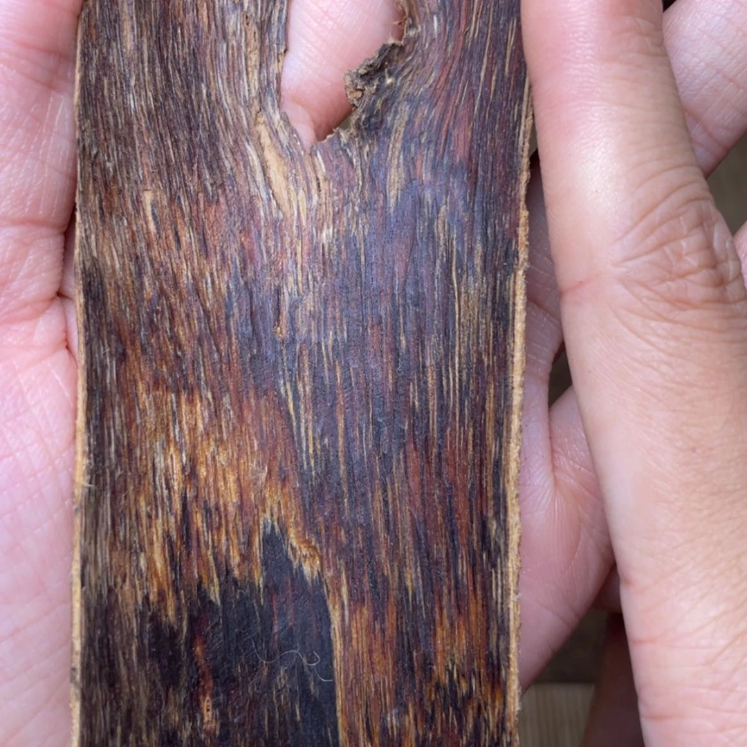 【闪购商品】香榧木海南黎母山皮油11.3克