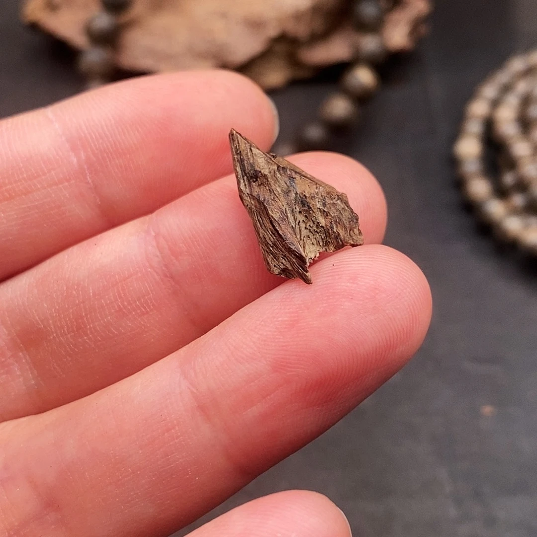 沉香枕沉香香港独籽 0.38