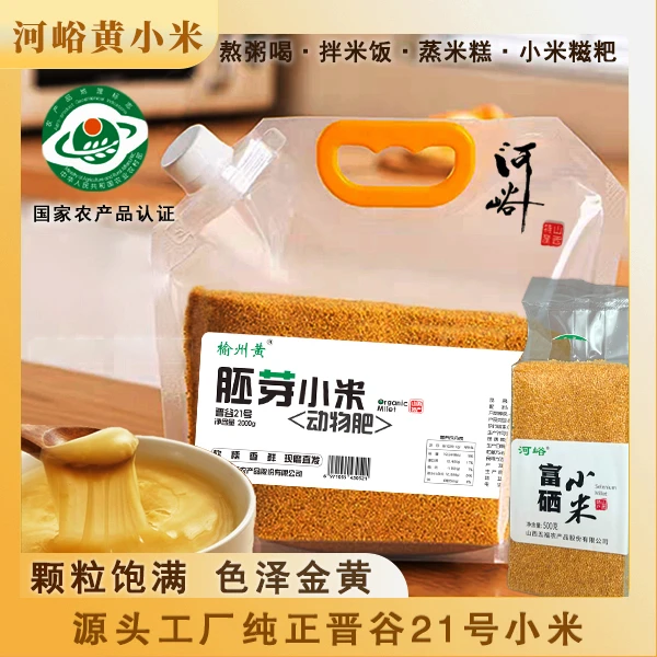 山西油糯胚芽黄小米辅食月子米山西小米晋谷21号