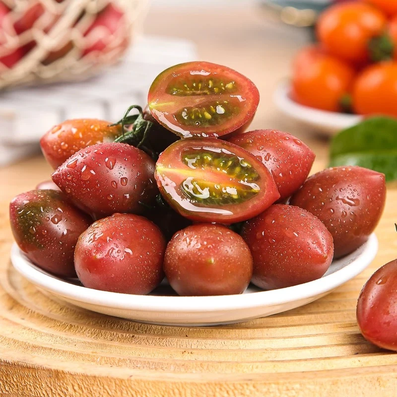 【爱心助农】迷彩小番茄紫弹头小西红柿新鲜圣女果现摘现发酸甜可口