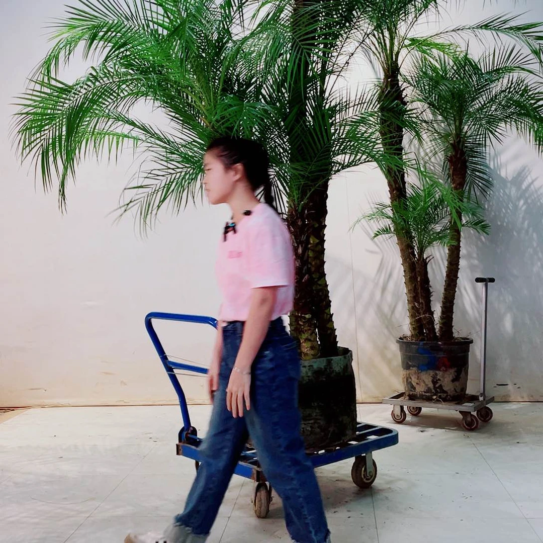 无花朵虎888888888