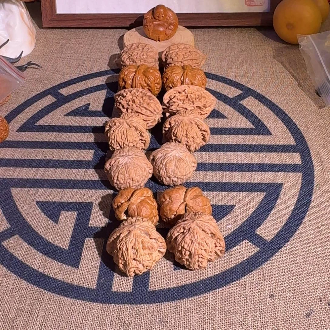 美***晨哈哈哈哈哈哈哈哈哈