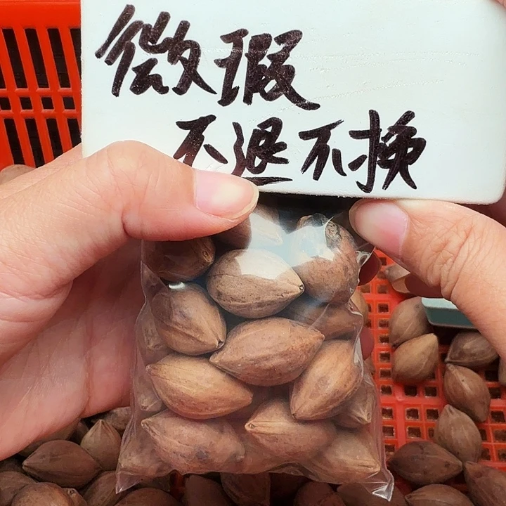 手串/手链橄榄核橄榄