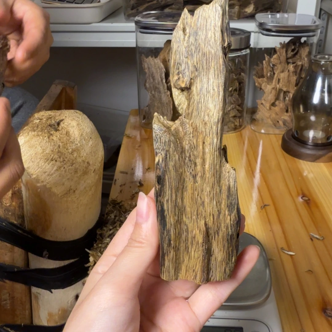 沉香陆河虫漏香33克