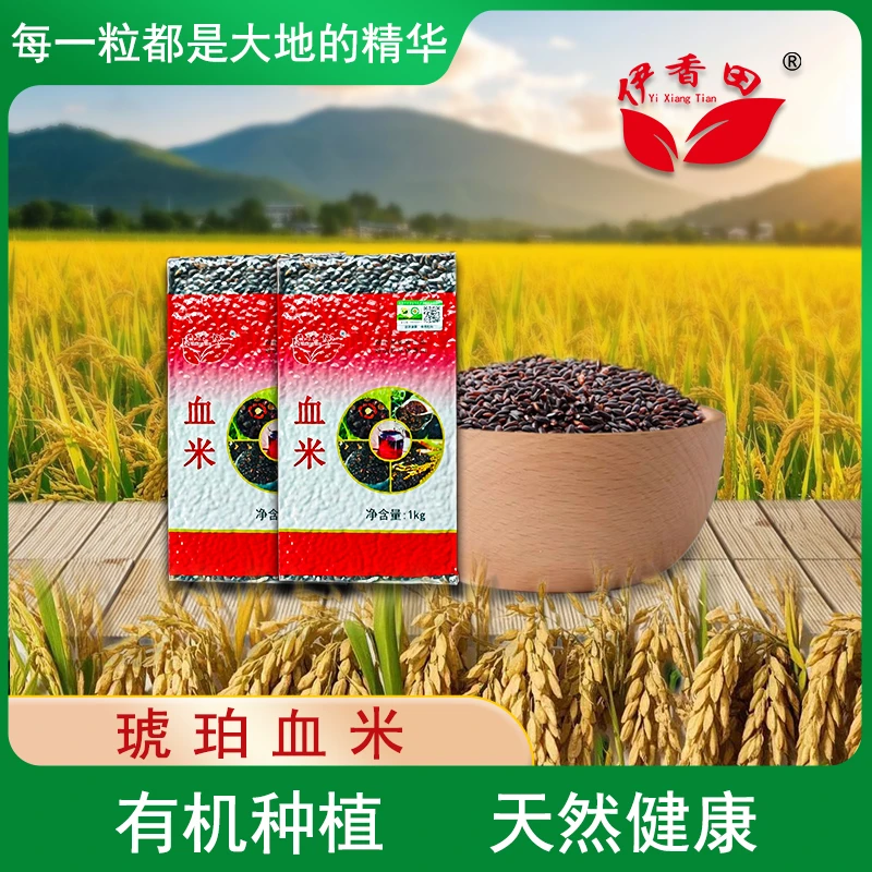 新疆伊犁察布查尔伊香田琥珀血米黑米1kg大米