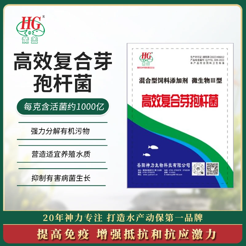 高效复合芽孢杆菌强力分解有机污物抑制有害病菌生长