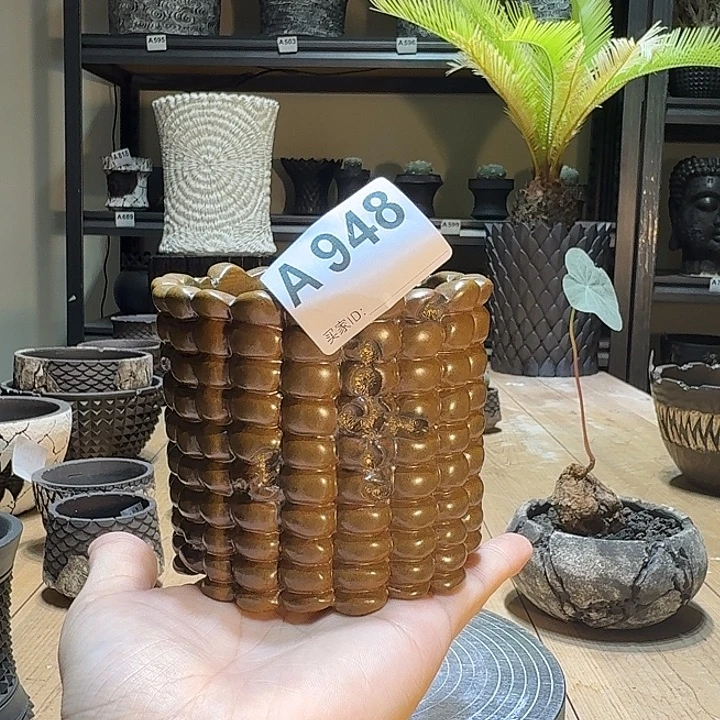 内口8高8块根植物盆