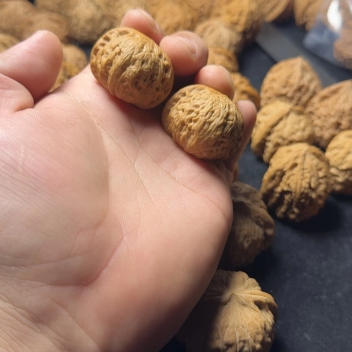 35尺铁锤妹妹尖部有修