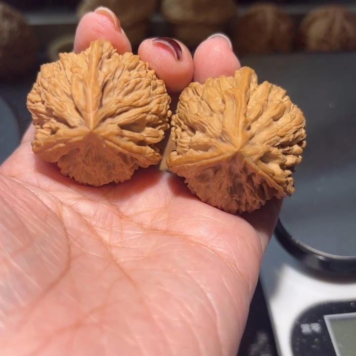 文玩核桃把件38无修文山正奔三棱