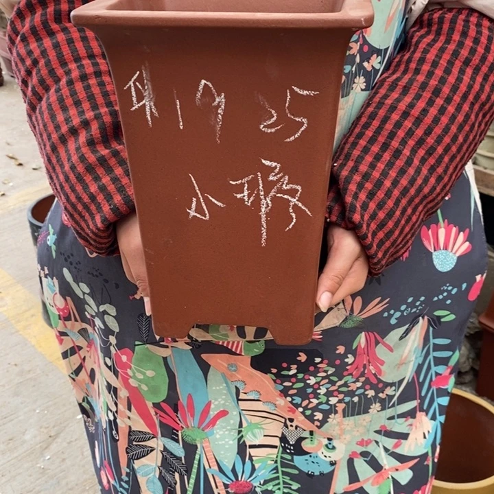 花盆紫砂自己看吧