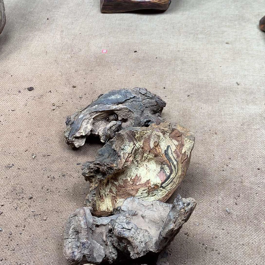 用***3黄花梨/降香黄檀原材料品香料