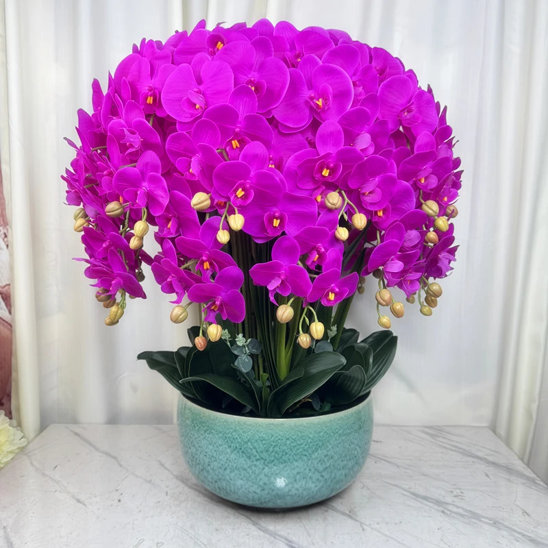 蝴蝶兰仿真花客厅高档花过胶手感保湿花室内桌面摆假花蝴蝶兰盆栽