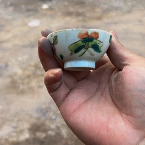 杂色豆（科檀/科特迪瓦檀木）牙*