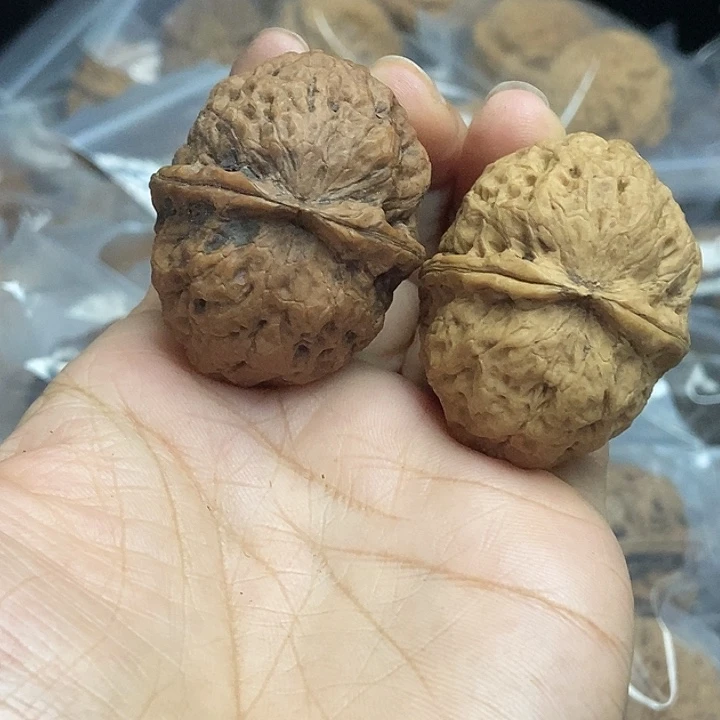 木质类云南铁核桃+46