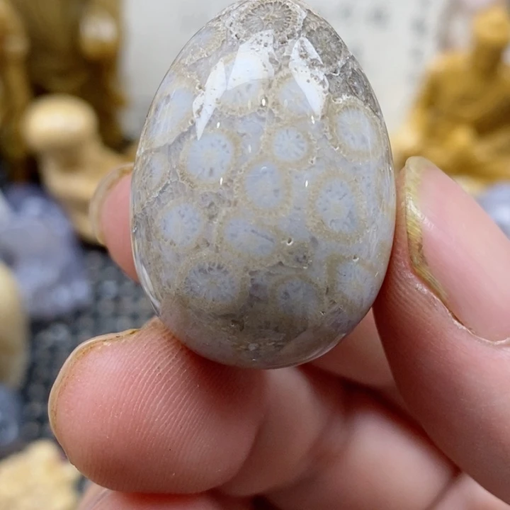 颈饰未镶嵌硅化珊瑚（珊瑚玉）有瑕