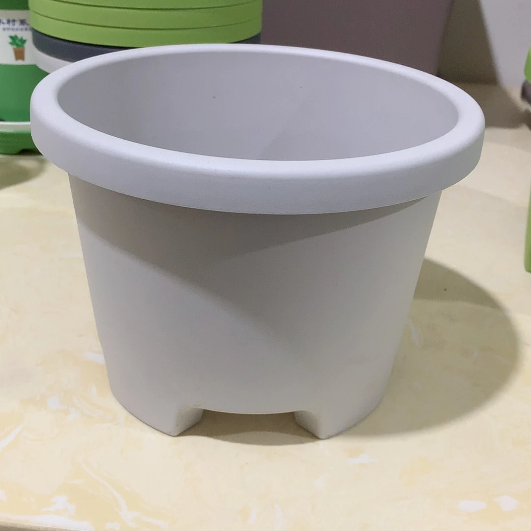 球根口21灰白5个无托