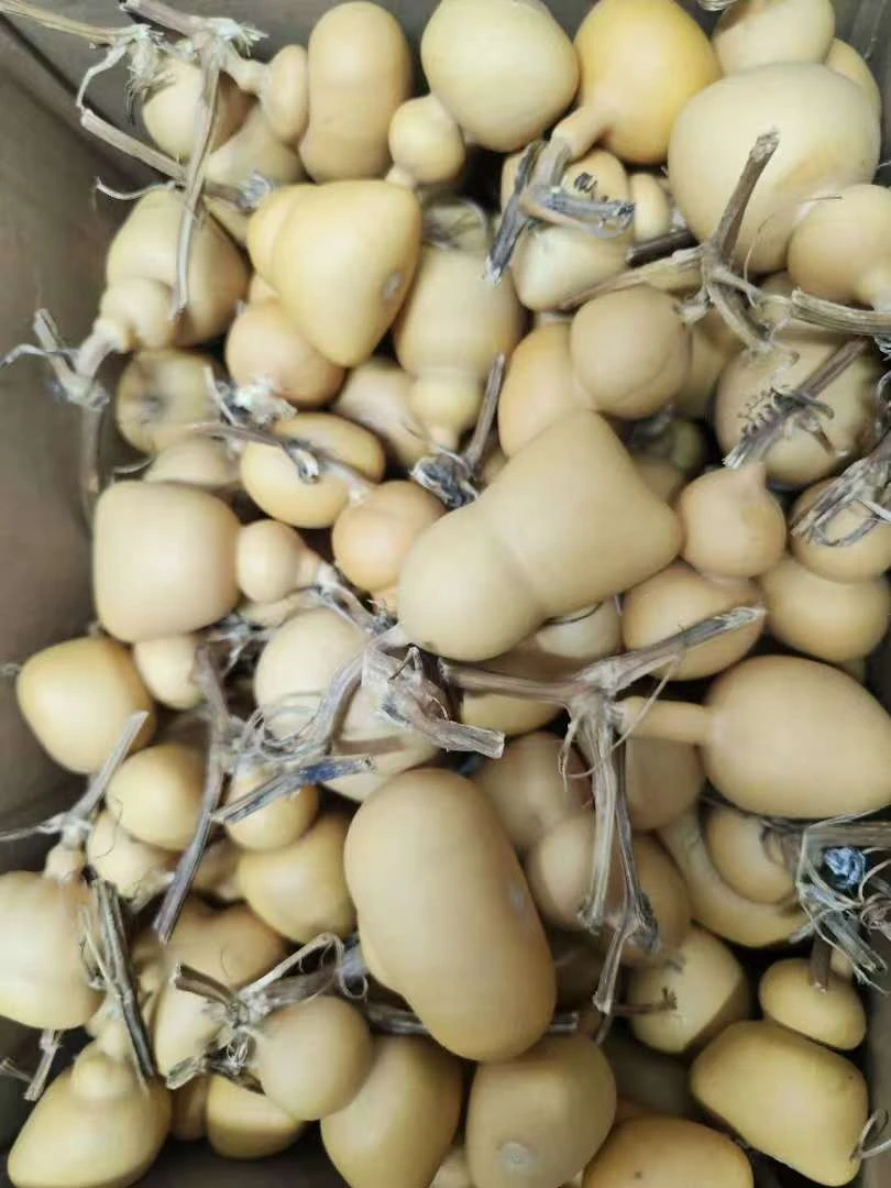 天然葫芦直播间一物一拍（请前往直播间选购）