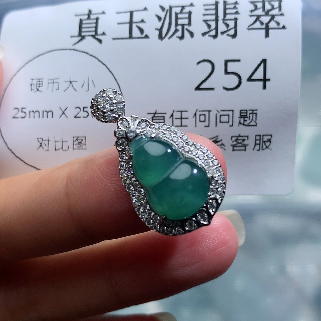 翡翠未镶嵌颈饰254