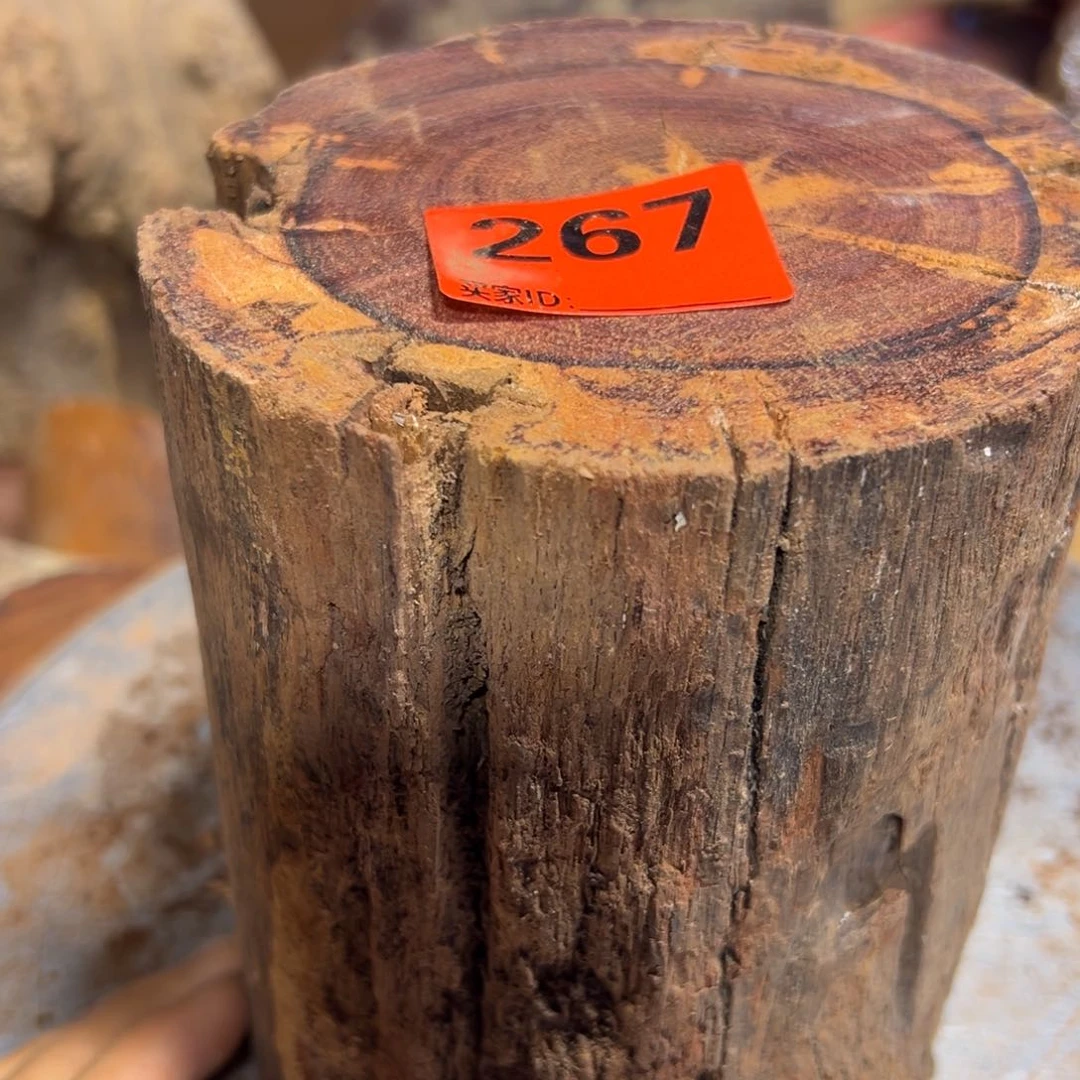 大果紫檀（缅甸花梨）