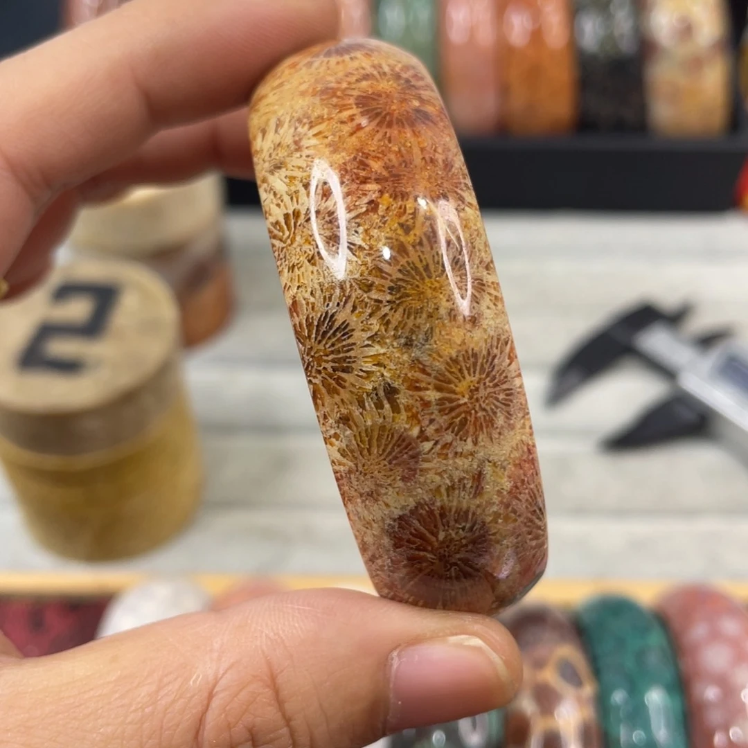 未镶嵌手镯硅化玉