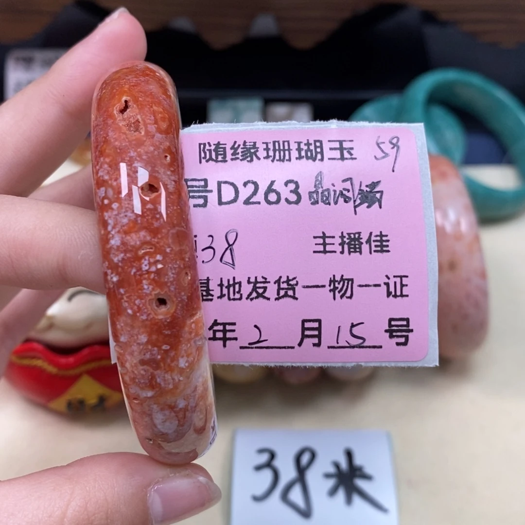 硅化珊瑚（珊瑚玉）D263未镶嵌?****?
