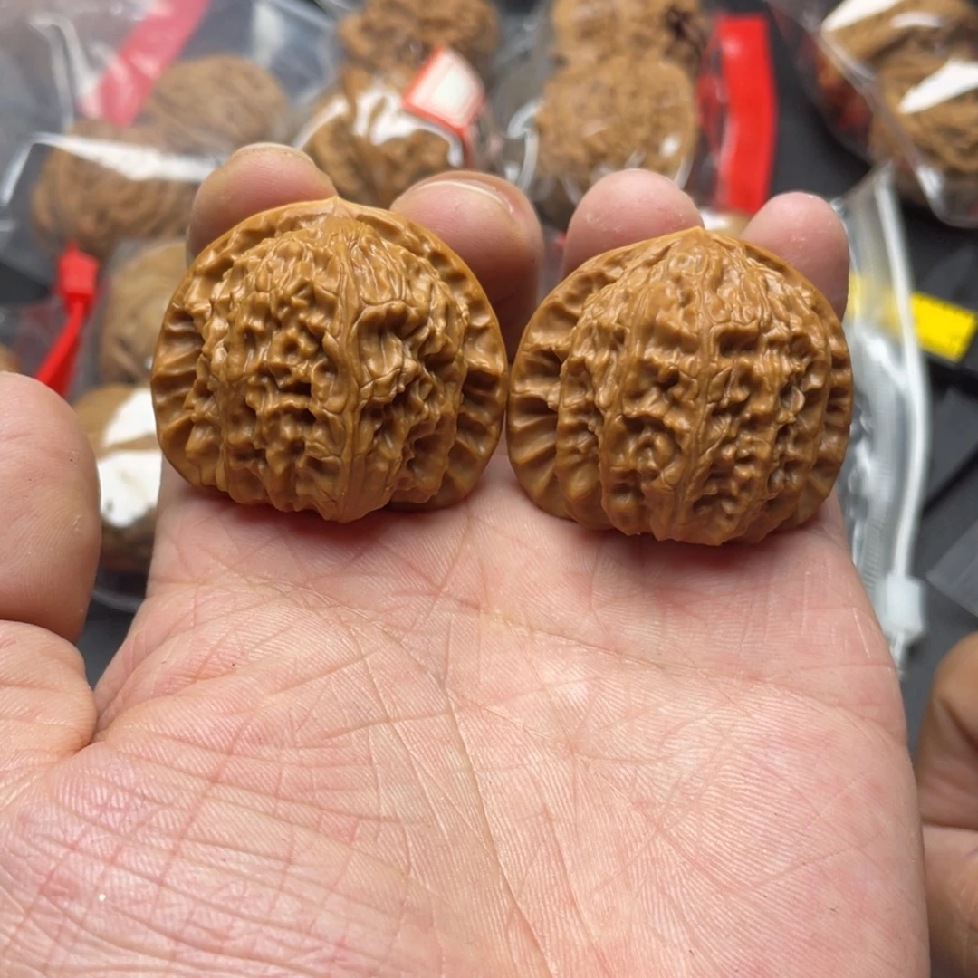 核桃白狮子40尺已打底