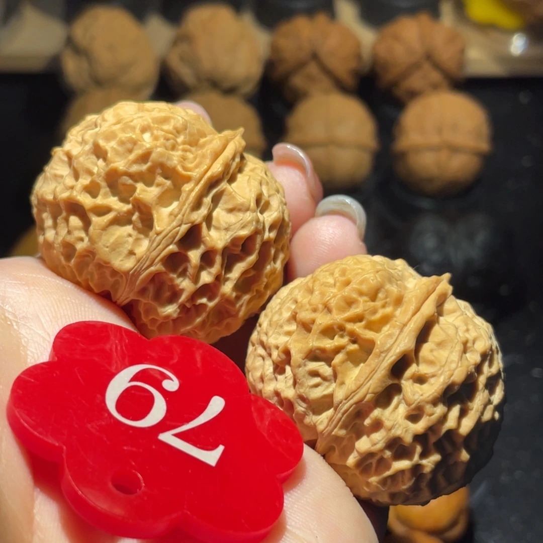 珊瑚元宝38尺寸核桃