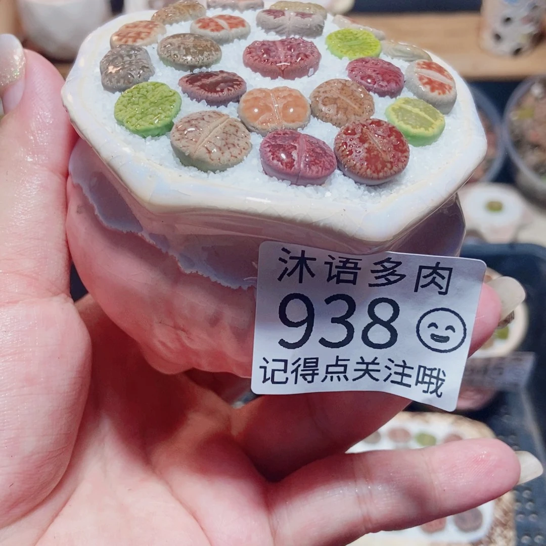 一物一拍 所见即所得938
