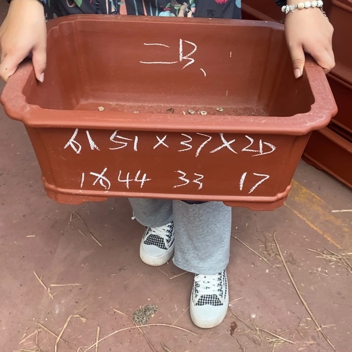 紫砂花盆自己的号楼梯道