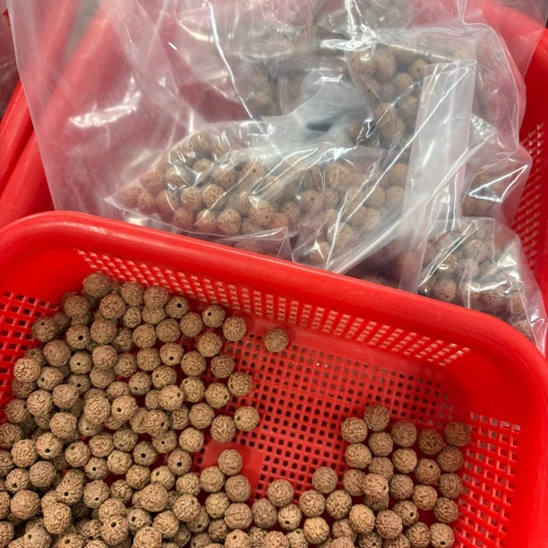 盘龙纹原桩散籽100颗一单