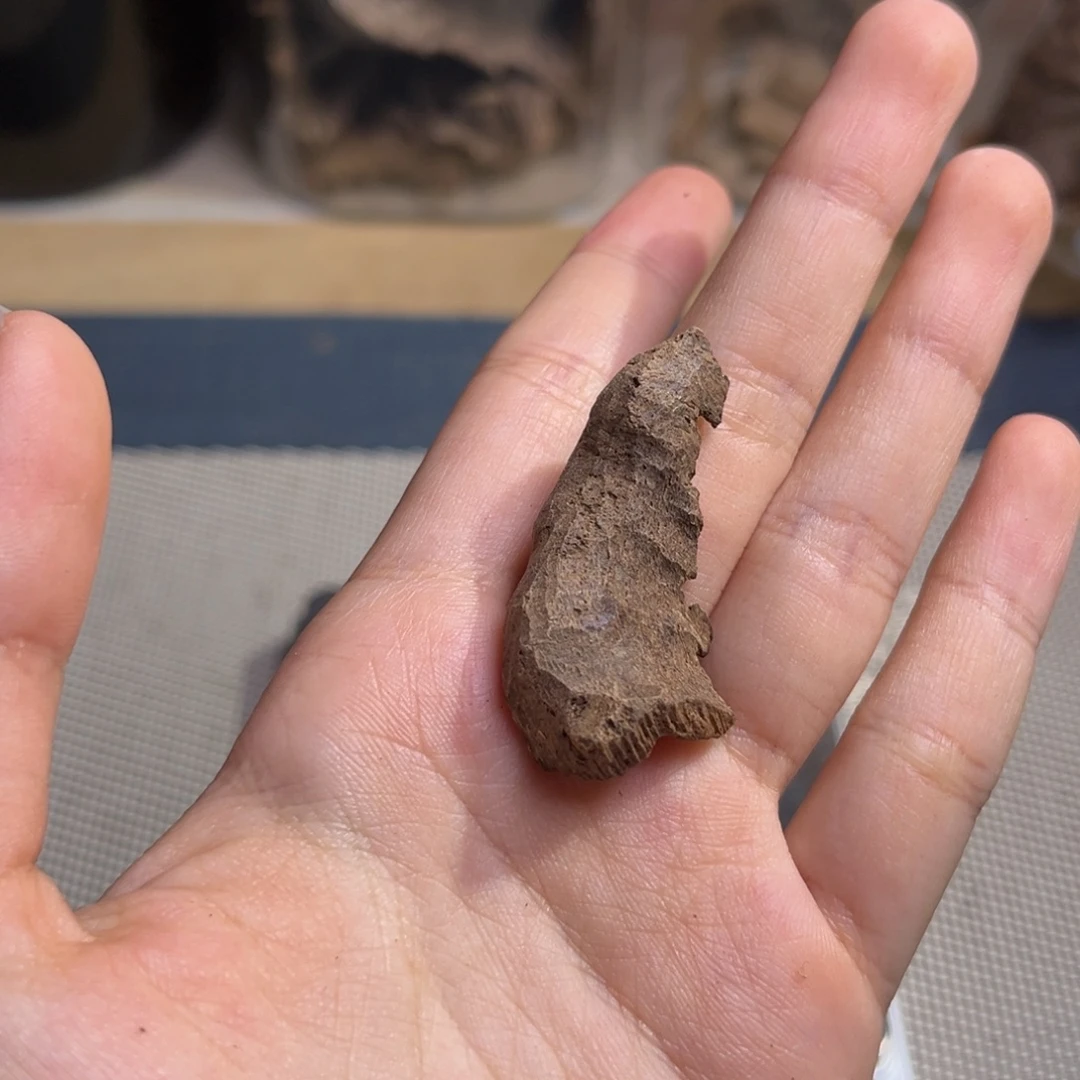 香料海南熟结淳化老包头1.9克开播福利