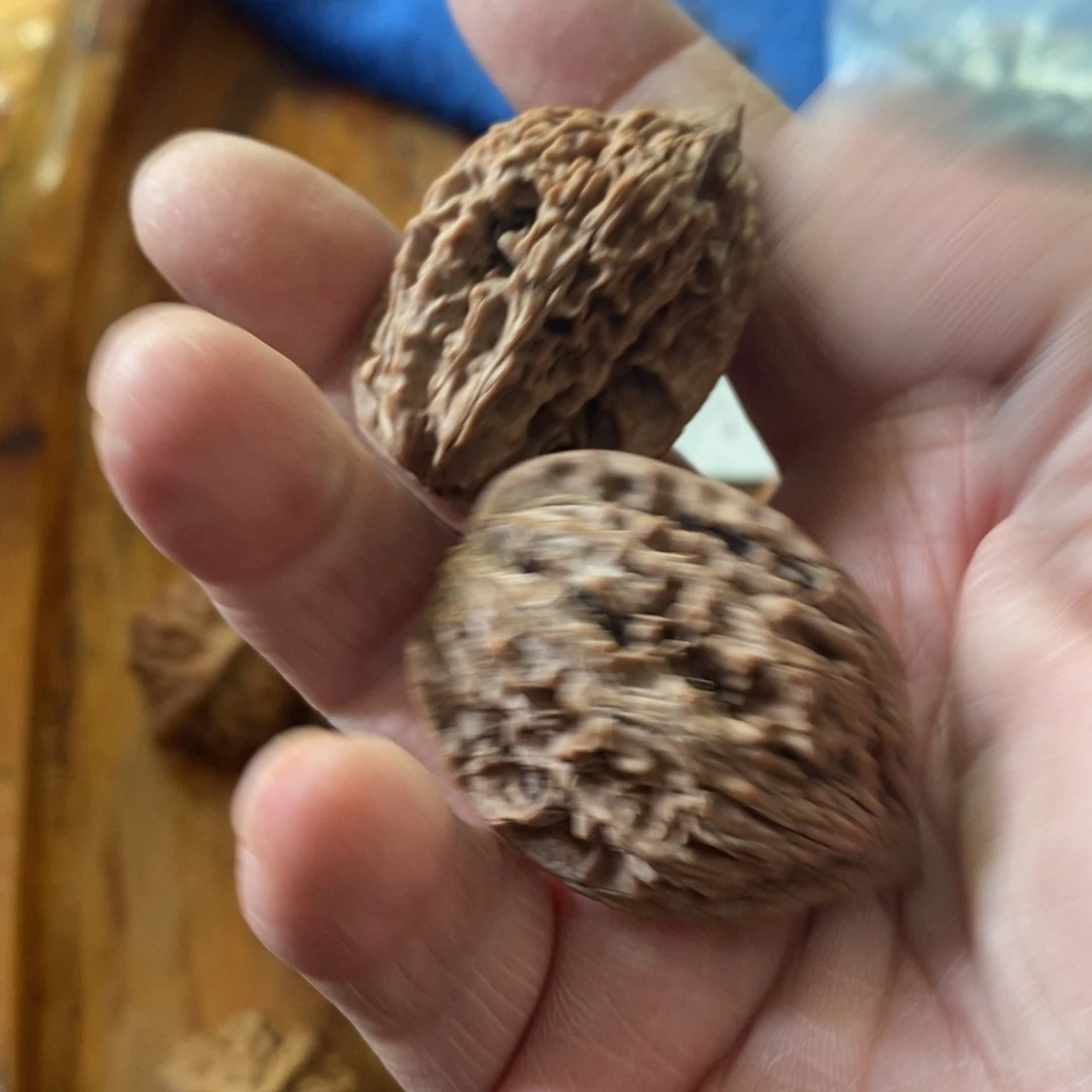 陪***冰秦岭南侧和东北的山