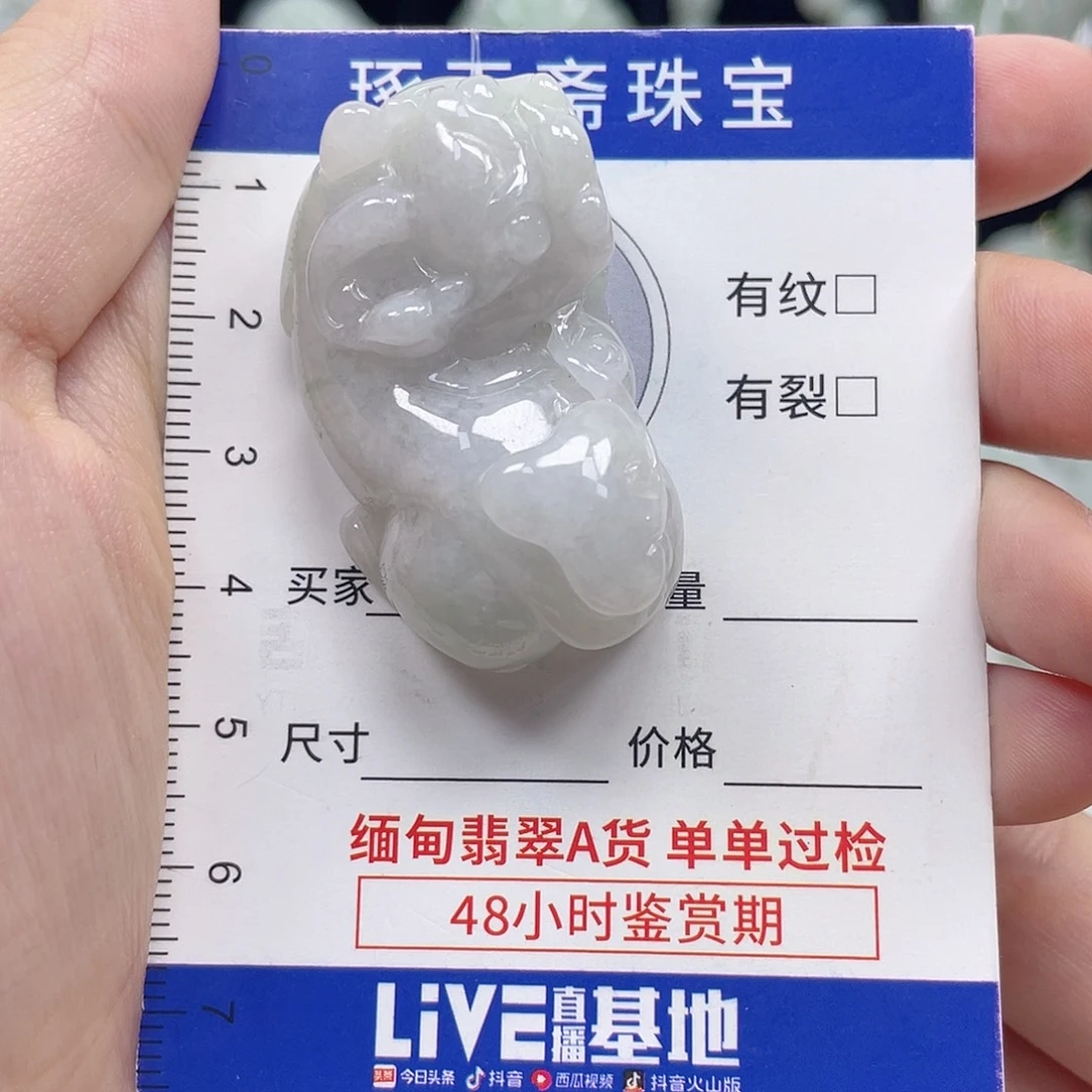 颈饰未镶嵌翡翠貔貅
