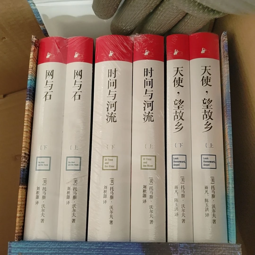 托马斯斯沃尔夫传世经典六本1套
