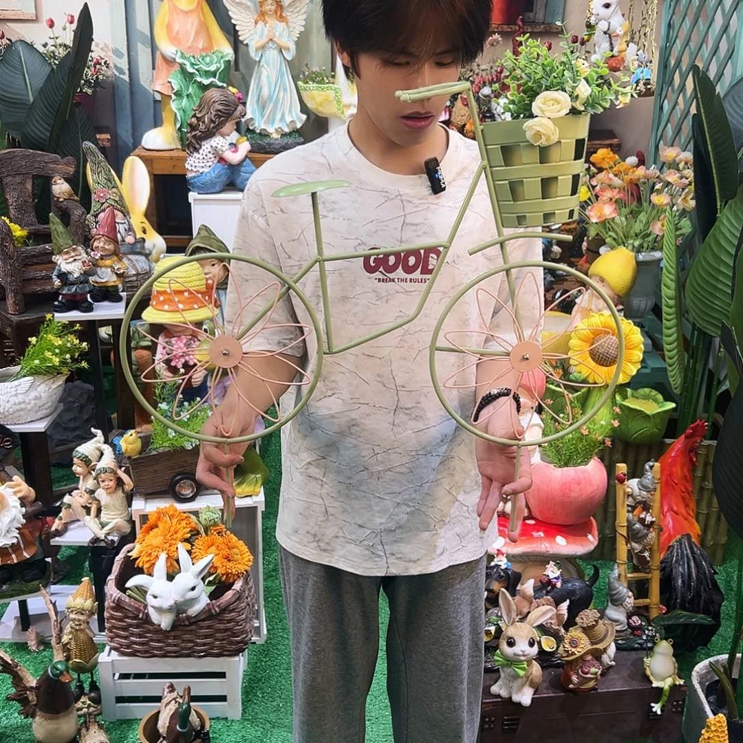 摆件花园摆件红红火火