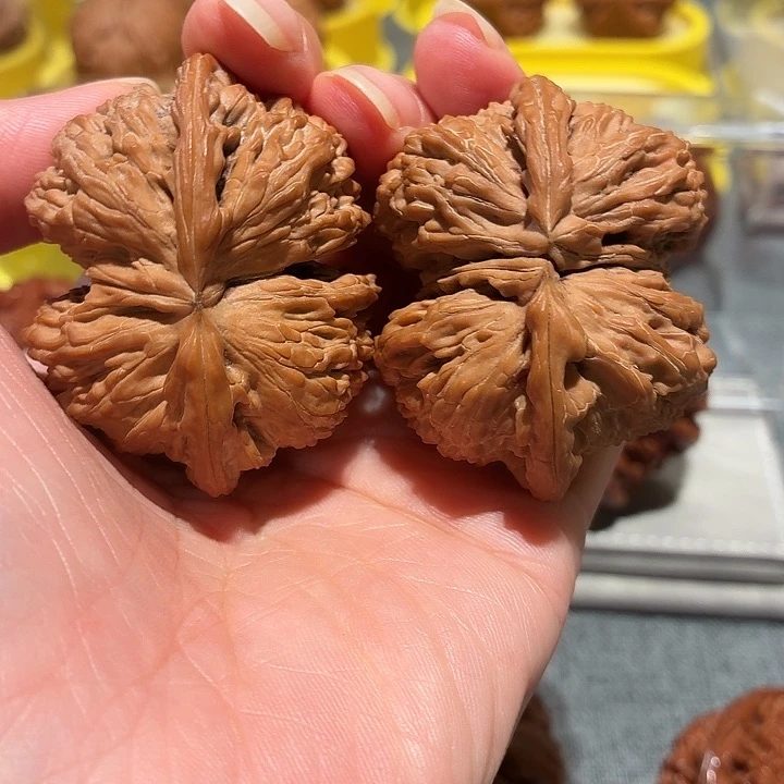 我*缘文玩核桃，白狮子聊天，尺寸49