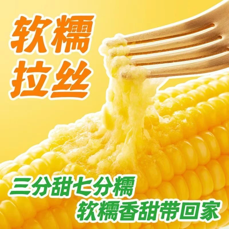 【试吃两根】整箱10根黄金糯东北精品糯九香甜软糯拉丝带箱4斤