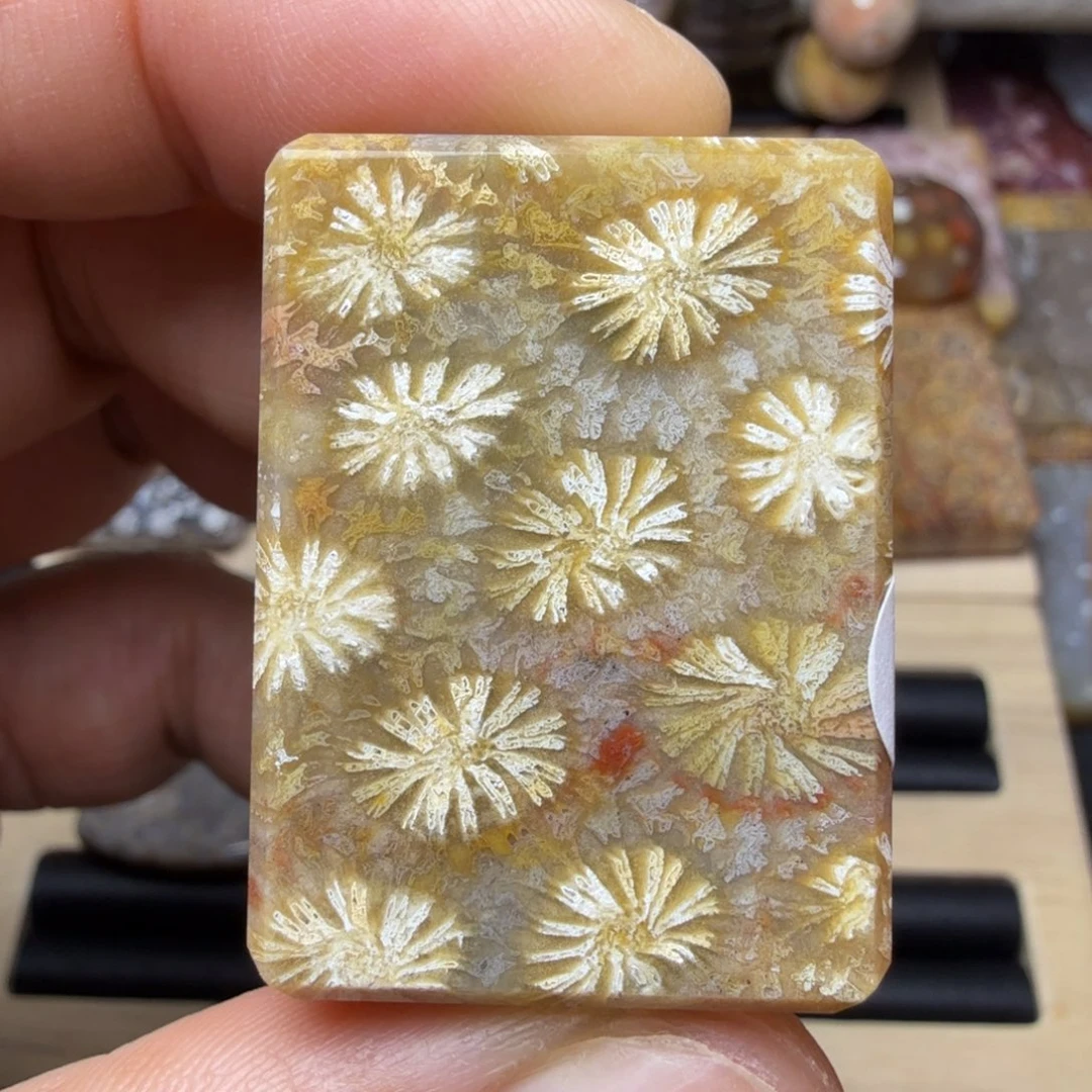 硅化玉未镶嵌纯天然色有机玉石保真色