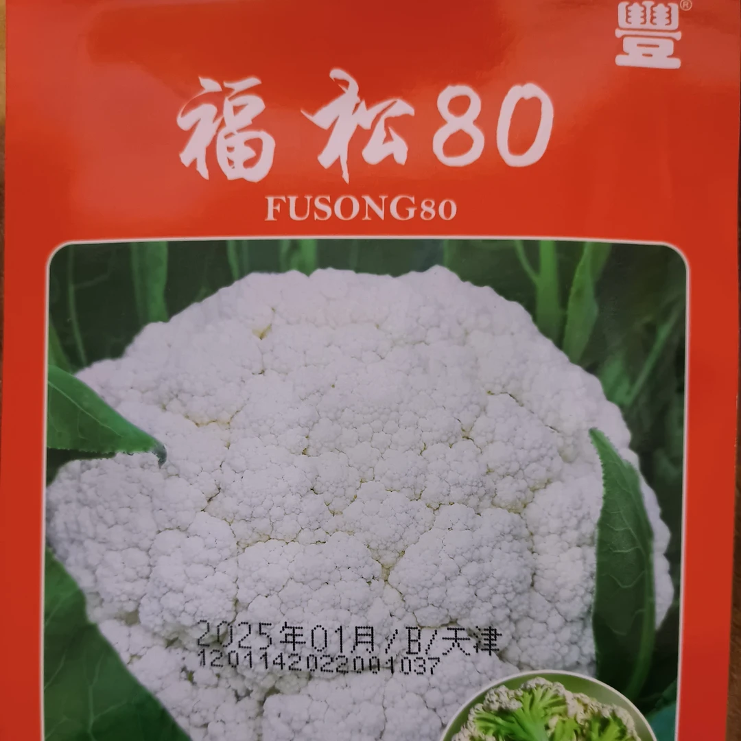 优质青梗松花菜种子适合春秋季种植高产蔬菜种籽
