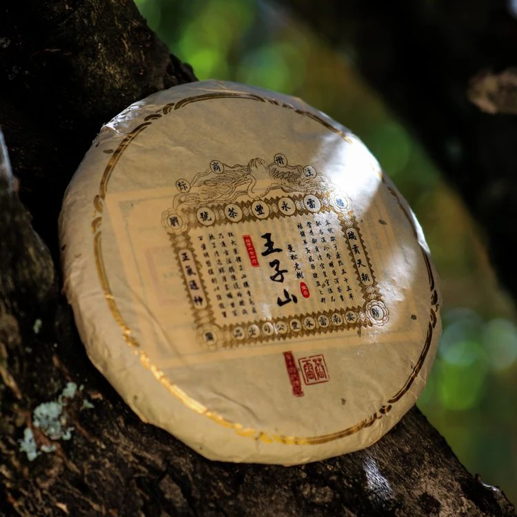 【小乔赏瓷】雷永丰2023年曼松老树高杆金票生茶 200g(呈贡)