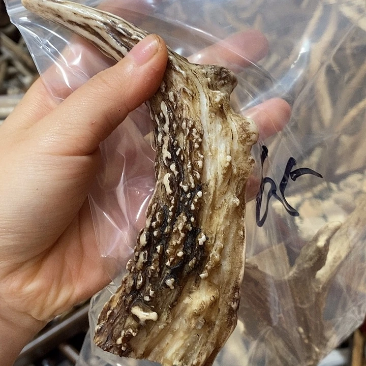 银***河无非金属鹿角鹿角