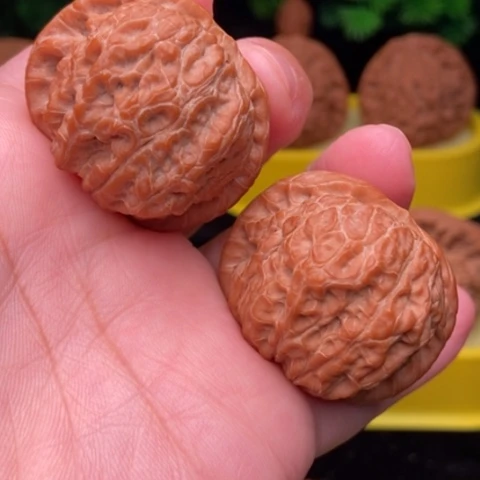 白***1血麒麟37全品1111111