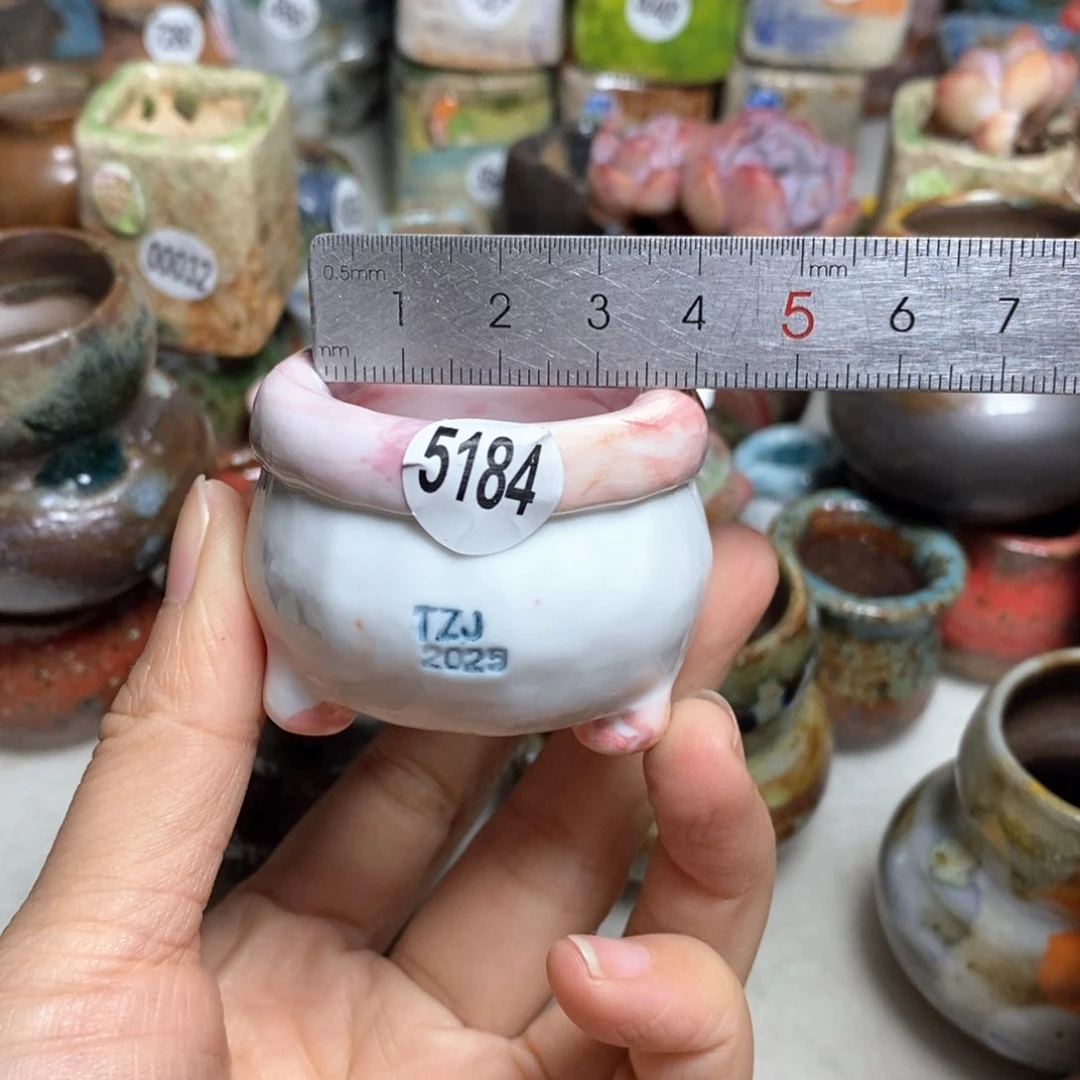 拍3送一个小礼物