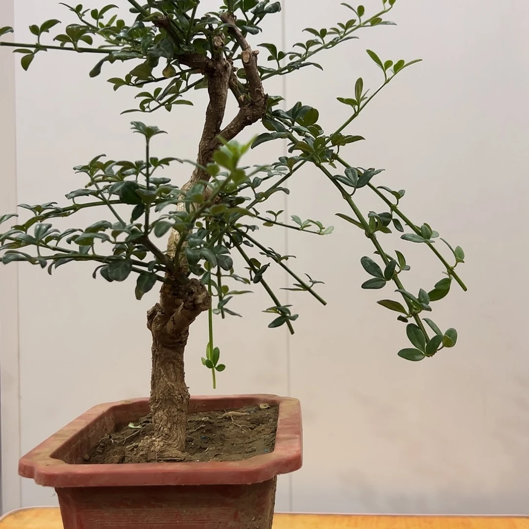 黄***力完全开放谢谢您的支持与信任