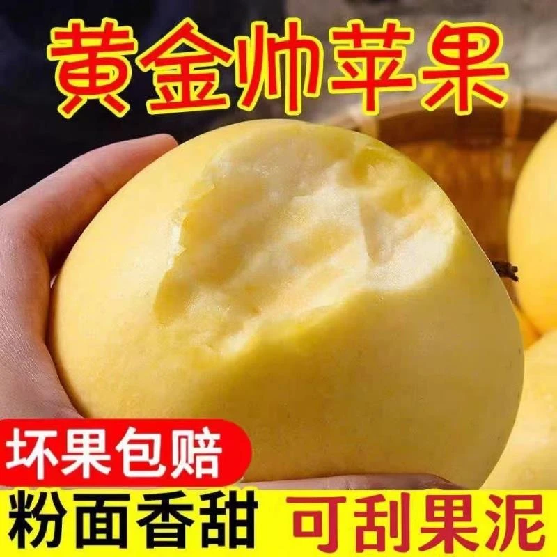 黄元帅苹果新鲜水果正宗粉面奶油苹果大连黄金帅当季现摘整箱包邮