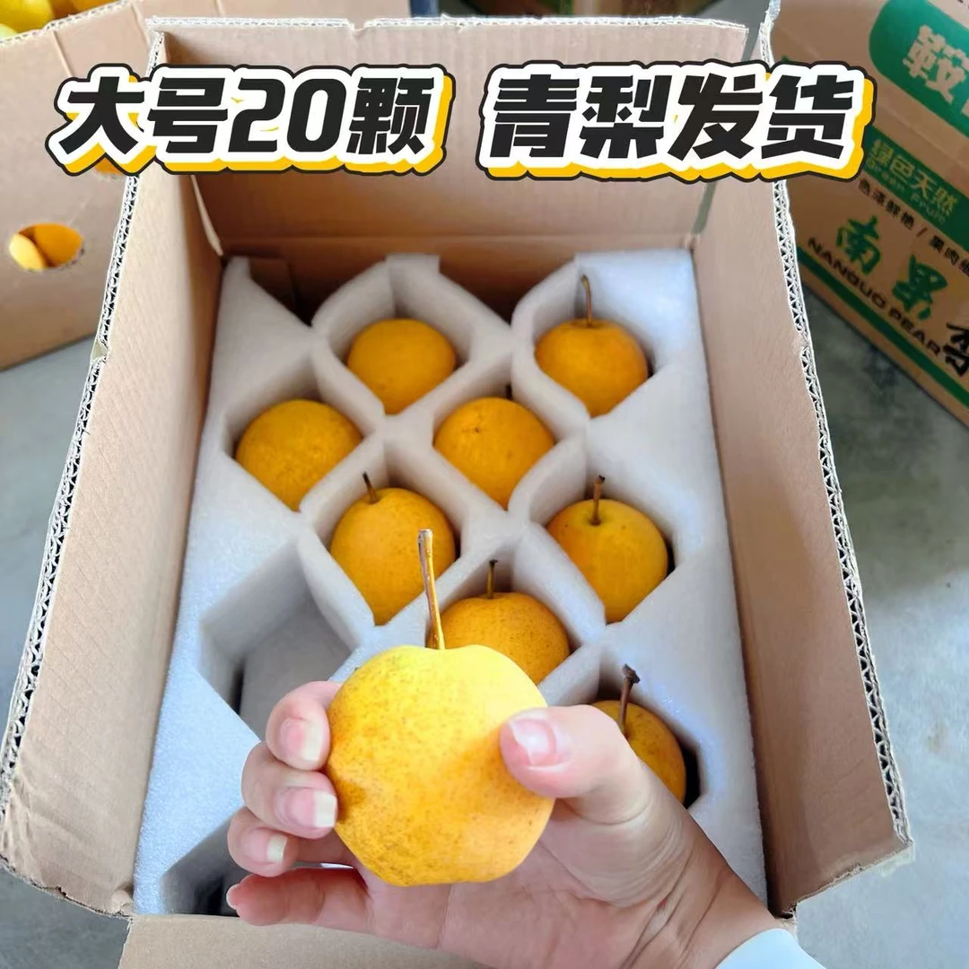 5斤鞍山特产老品种南国梨小时候的味道