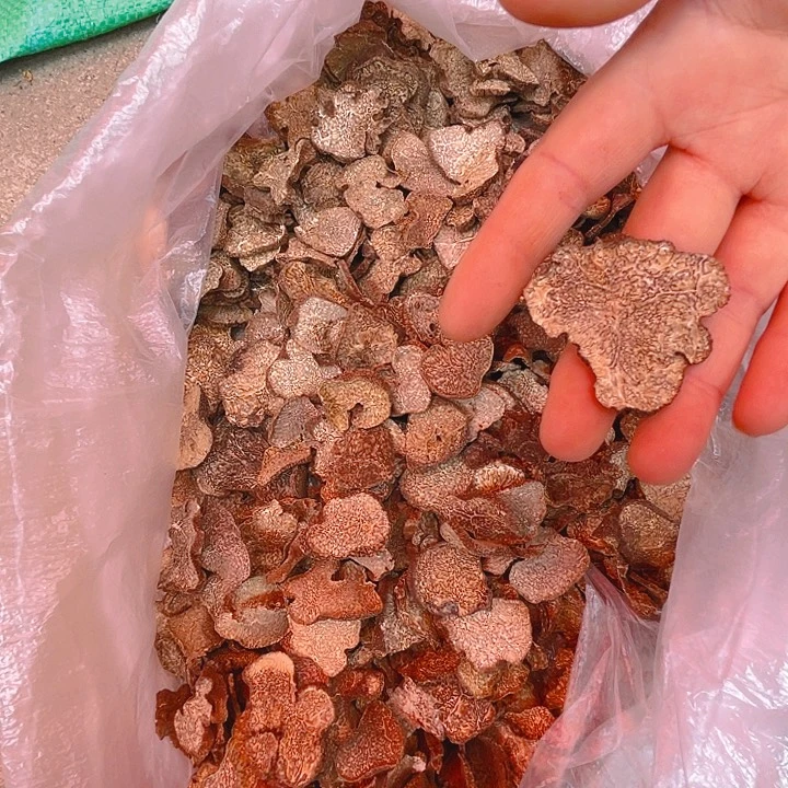 松露干的中国大陆二两云南松露