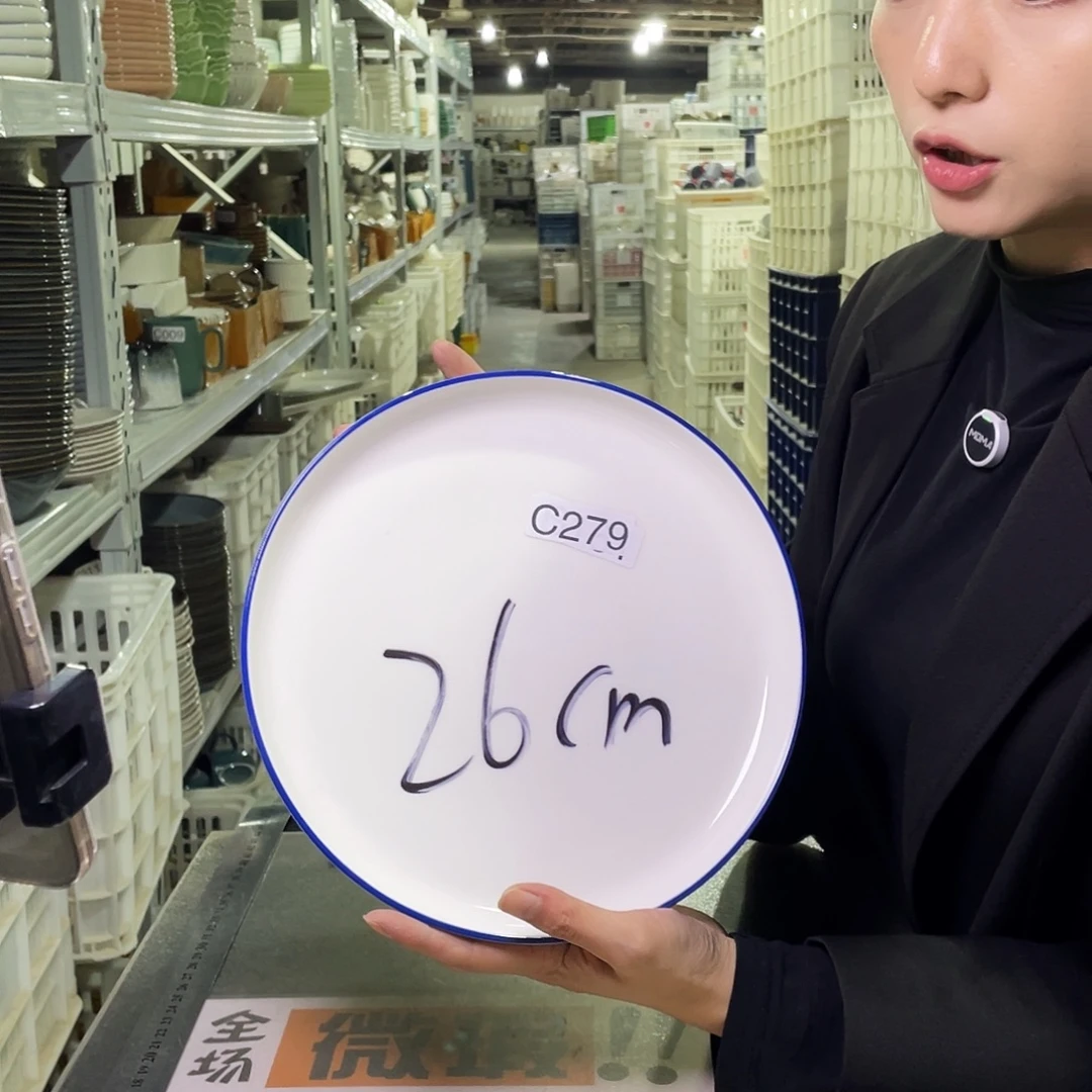 瓷片279                 2个