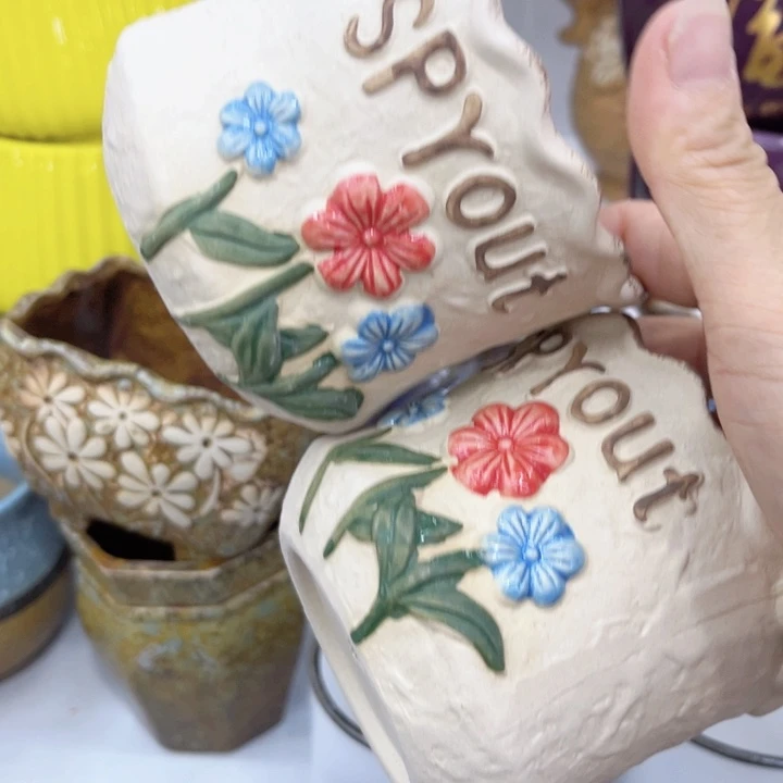 多肉植物花盆9.99包邮