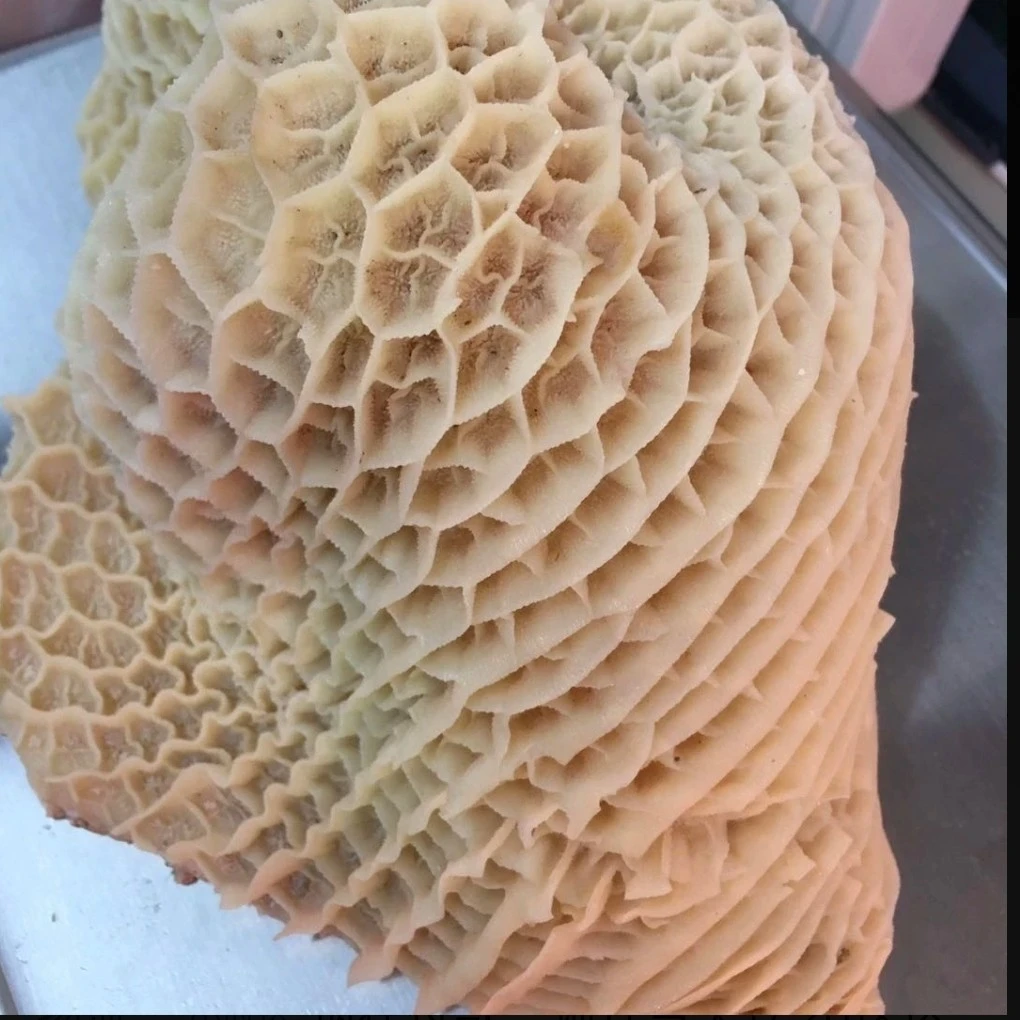 半熟金钱肚 750g
